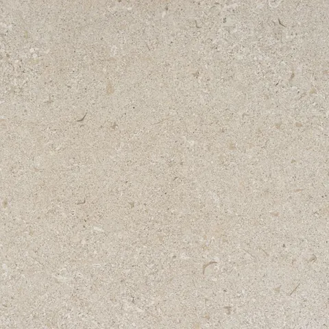 Avorio